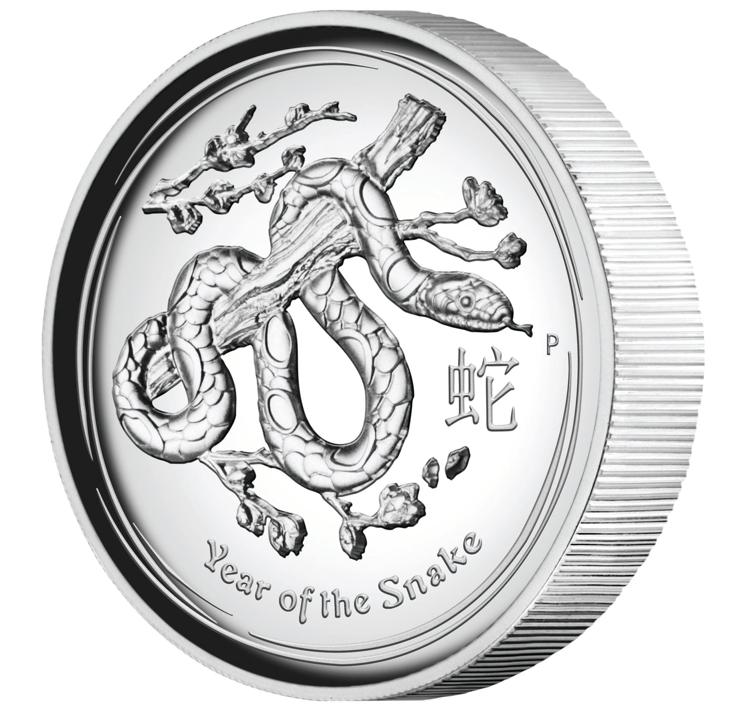 2013 $1 Lunar Year of The Snake 1oz Silver High Relief Proof Coin