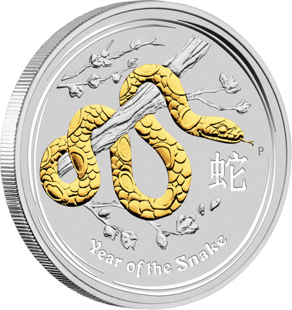 2013 $1 Lunar Year of The Snake 1oz Silver Gilded Coin