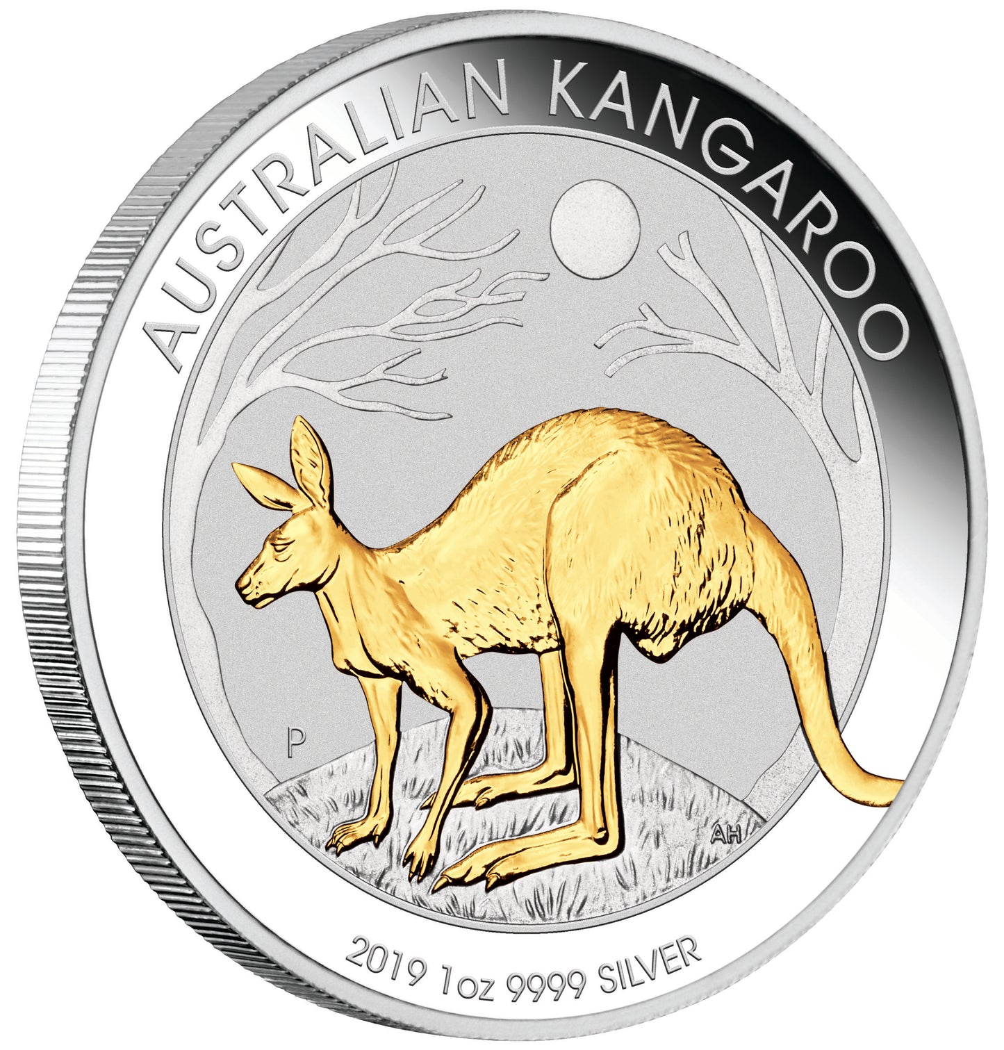 2019 $1 Australian Kangaroo 1oz Silver Gilded Coin