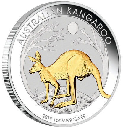 2019 $1 Australian Kangaroo 1oz Silver Gilded Coin