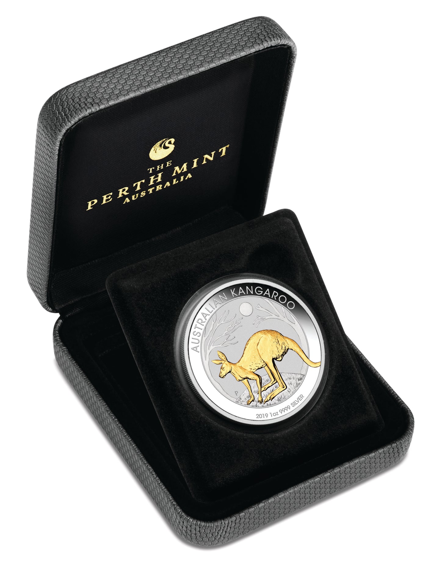 2019 $1 Australian Kangaroo 1oz Silver Gilded Coin