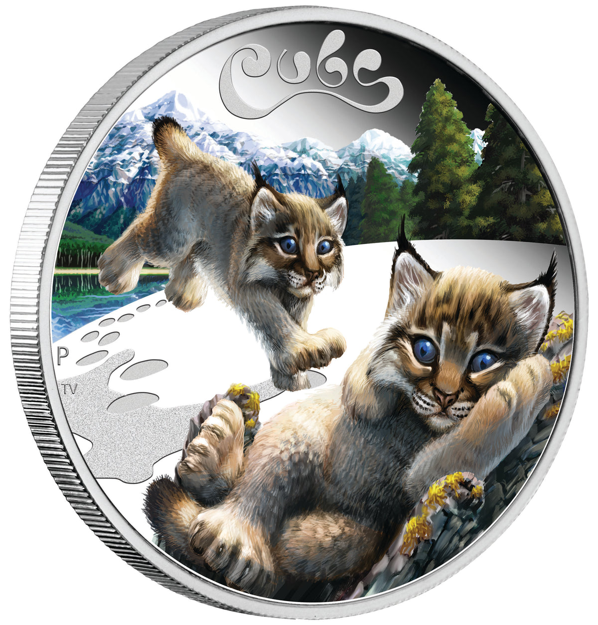 Tuvalu 2016 50c Cubs Lynx 1/2oz Silver Coloured Proof Coin