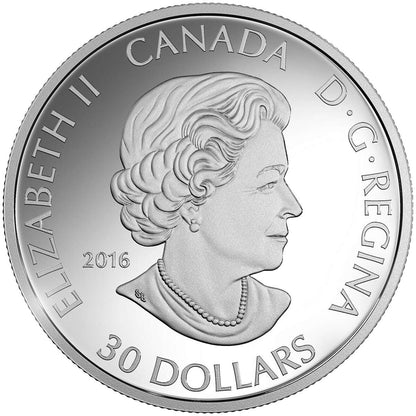 Canada 2016 $30 The Canada Goose Silver Proof Coin