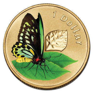 2011 $1 Air Series Cairns Birdwing Butterfly Coloured Uncirculated Coin