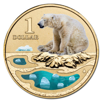 2013 $1 Polar Series Polar Bear Coloured Uncirculated Coin