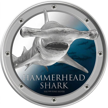 Niue 2013 $2 Ocean Predators Hammerhead Shark 1oz Silver Coloured Proof Coin