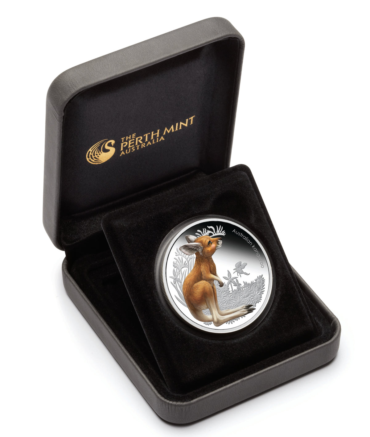 2010 50c Australian Bush Babies Kangaroo 1/2oz Silver Coloured Proof Coin