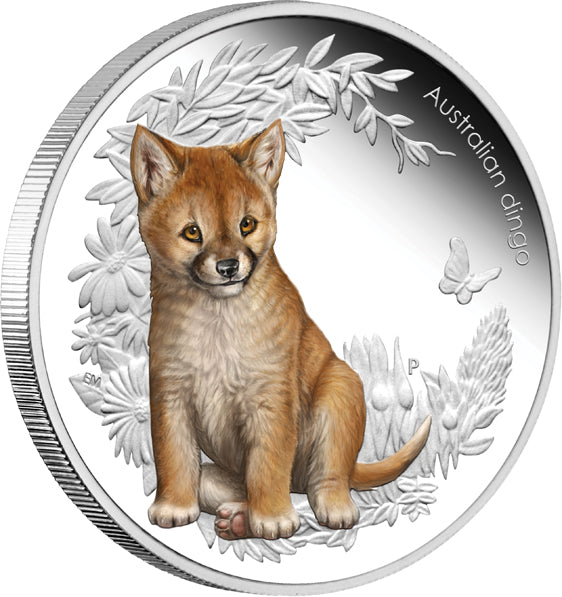 2011 50c Australian Bush Babies Dingo 1/2oz Silver Coloured Proof Coin