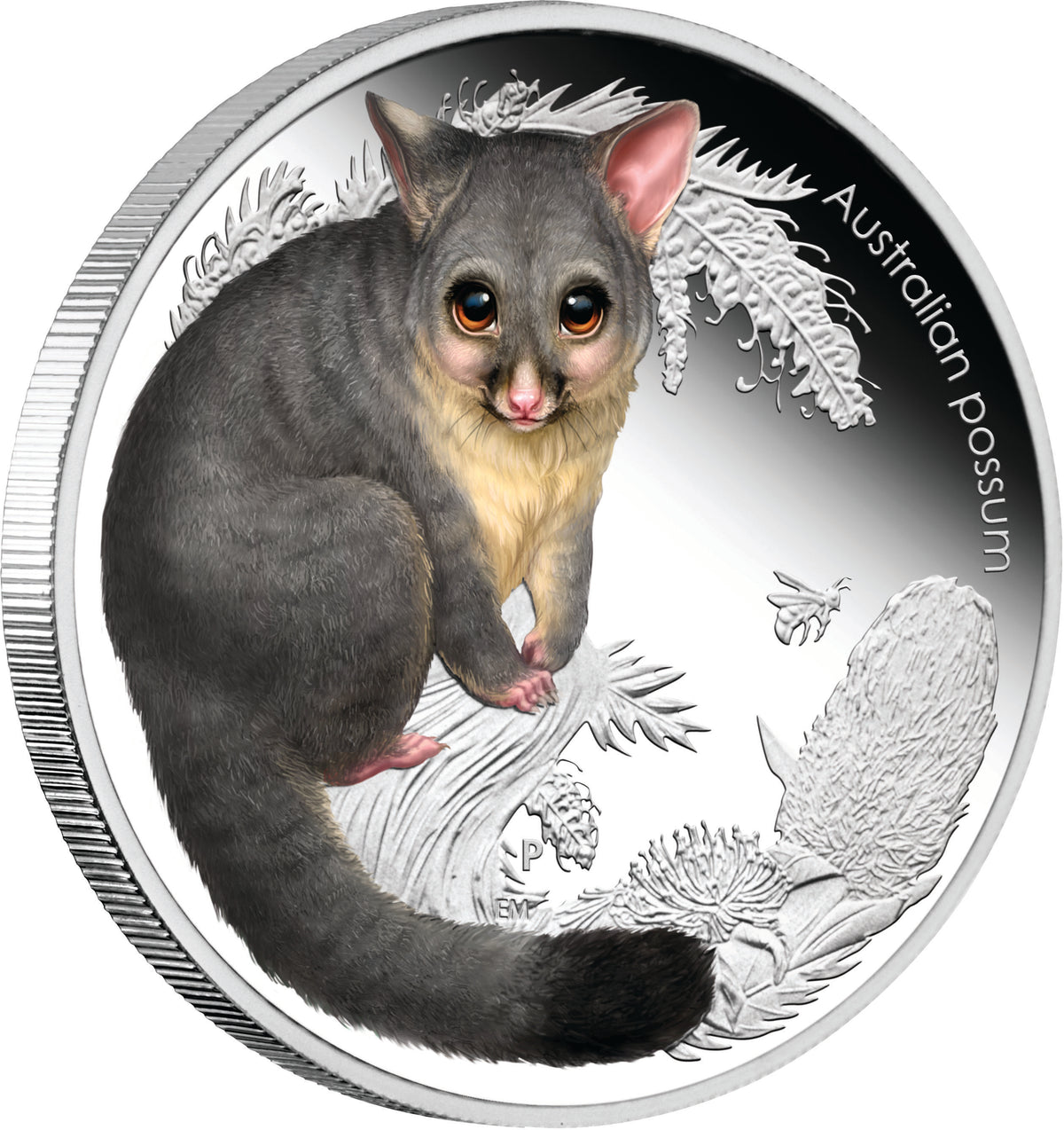 2013 50c Australian Bush Babies II Possum 1/2oz Silver Coloured Proof Coin