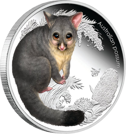 2013 50c Australian Bush Babies II Possum 1/2oz Silver Coloured Proof Coin