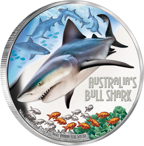 Tuvalu 2017 $1 Deadly and Dangerous Bull Shark 1oz Silver Coloured Proof Coin