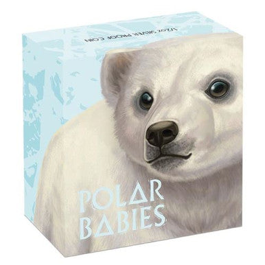 Tuvalu 2017 50c Polar Babies Polar Bear 1/2oz Silver Coloured Proof Coin