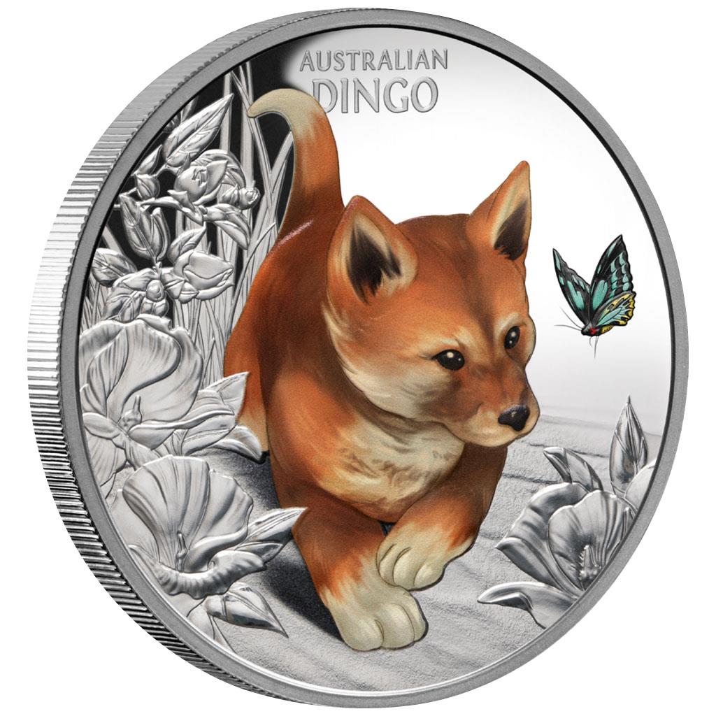 Niue 2024 $1 Australian Baby Animals Dingo 1oz Silver Coloured Proof Coin