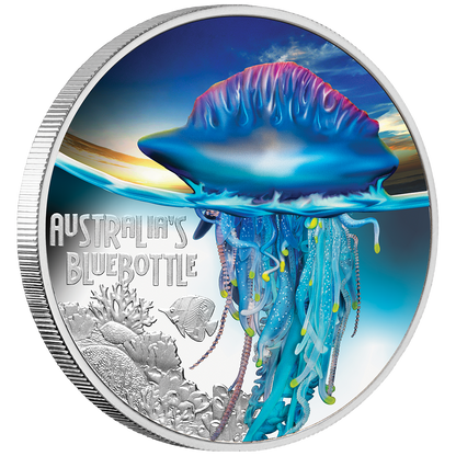 Tuvalu 2024 $1 Deadly and Dangerous Bluebottle 1oz Silver Coloured Proof Coin
