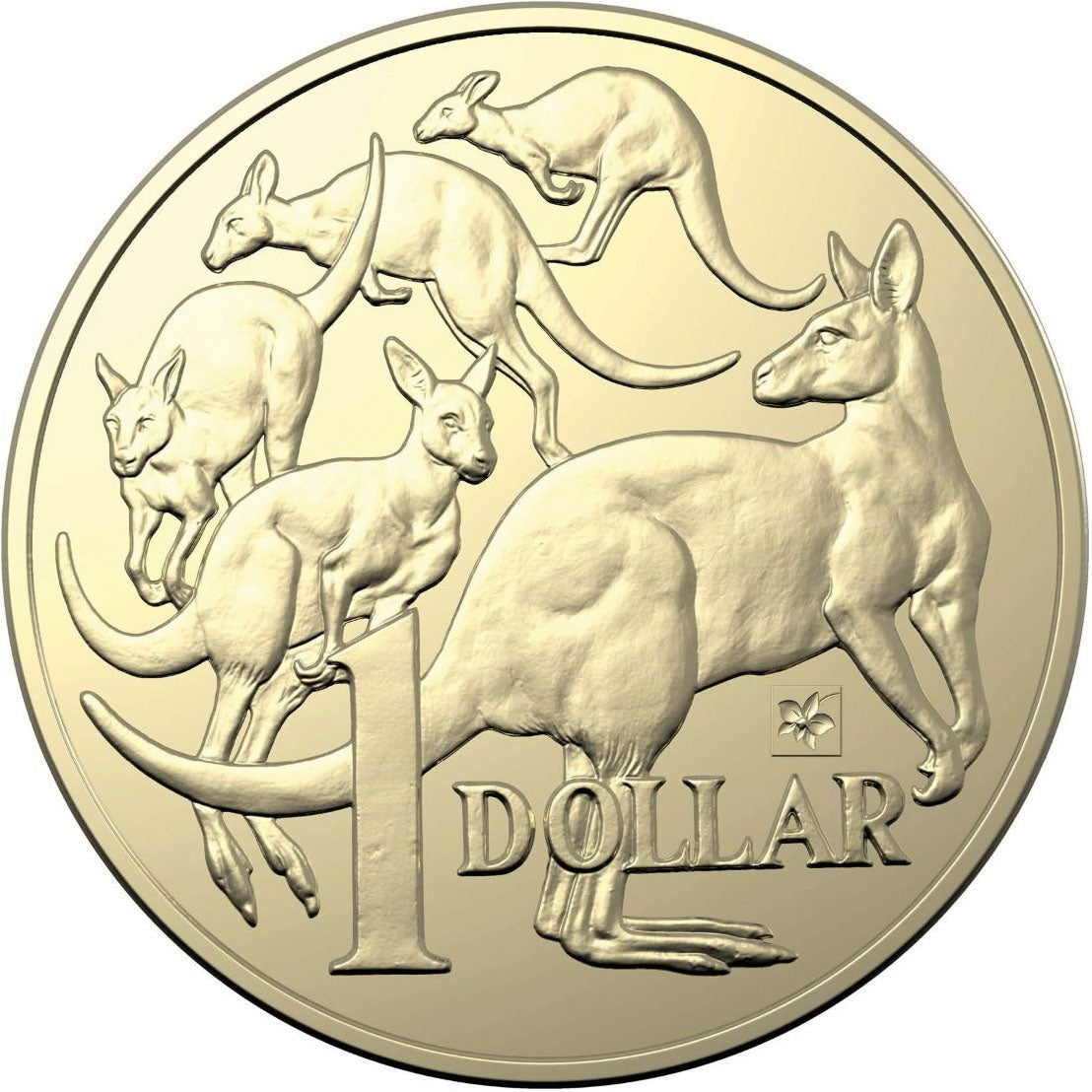 2019 $1 ANDA Brisbane Mob of Roos 'Cooktown Orchid' Privy Mark Uncirculated Coin