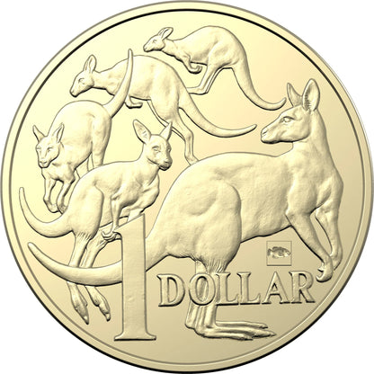 2022 $1 ANDA Sydney Mob of Roos 'Eastern Blue Groper' Privy Mark Uncirculated Coin