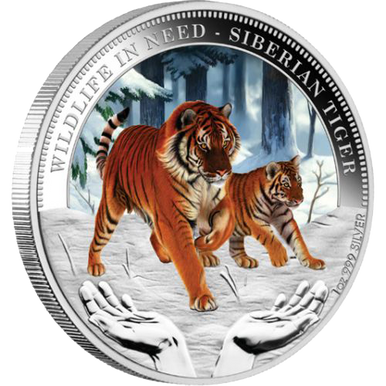 Tuvalu 2012 $1 Wildlife In Need Siberian Tiger 1oz Silver Coloured Proof Coin