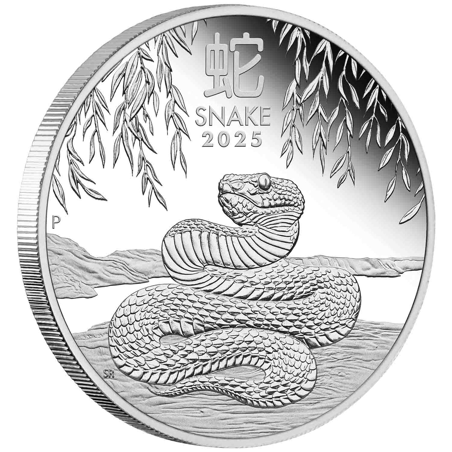 2025 50c Lunar Year of The Snake 1/2oz Silver Proof Coin