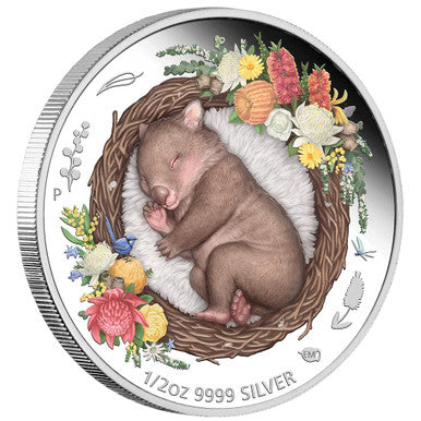 2021 50c Dreaming Down Under Wombat 1/2oz Silver Coloured Proof Coin
