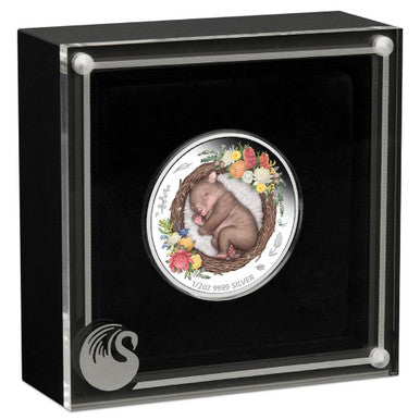 2021 50c Dreaming Down Under Wombat 1/2oz Silver Coloured Proof Coin