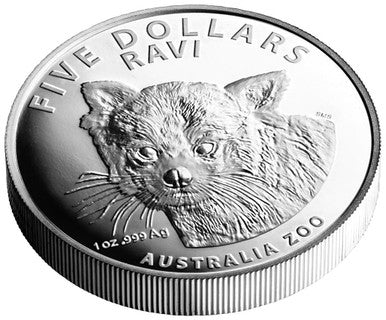 2018 $5 Australia Zoo Ravi Red Panda 1oz Silver High Relief Proof Coin
