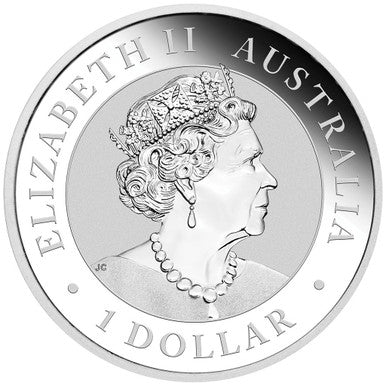 2020 $1 Australian Kangaroo 1oz Silver Gilded Coin