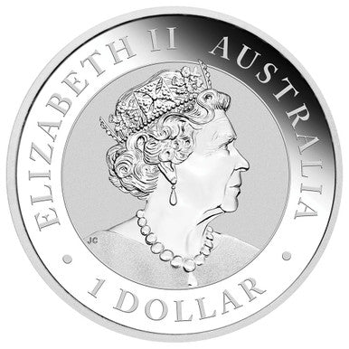 2021 $1 ANDA Brisbane Australian Koala 1oz Silver Coloured Coin