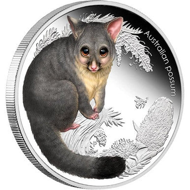 2013 50c Australian Bush Babies II Possum 1/2oz Silver Coloured Proof Coin