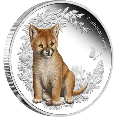 2011 50c Australian Bush Babies Dingo 1/2oz Silver Coloured Proof Coin