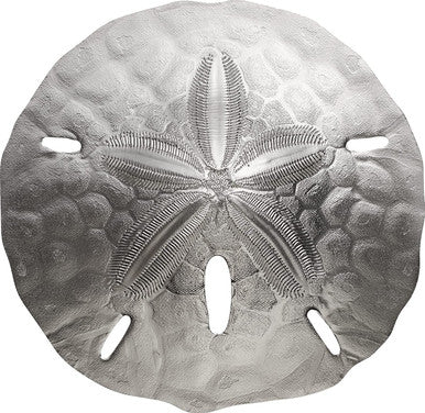 Palau 2019 1$ Sand Dollar 1oz Silver Silk Coin with Chest